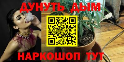 мдпв Будённовск